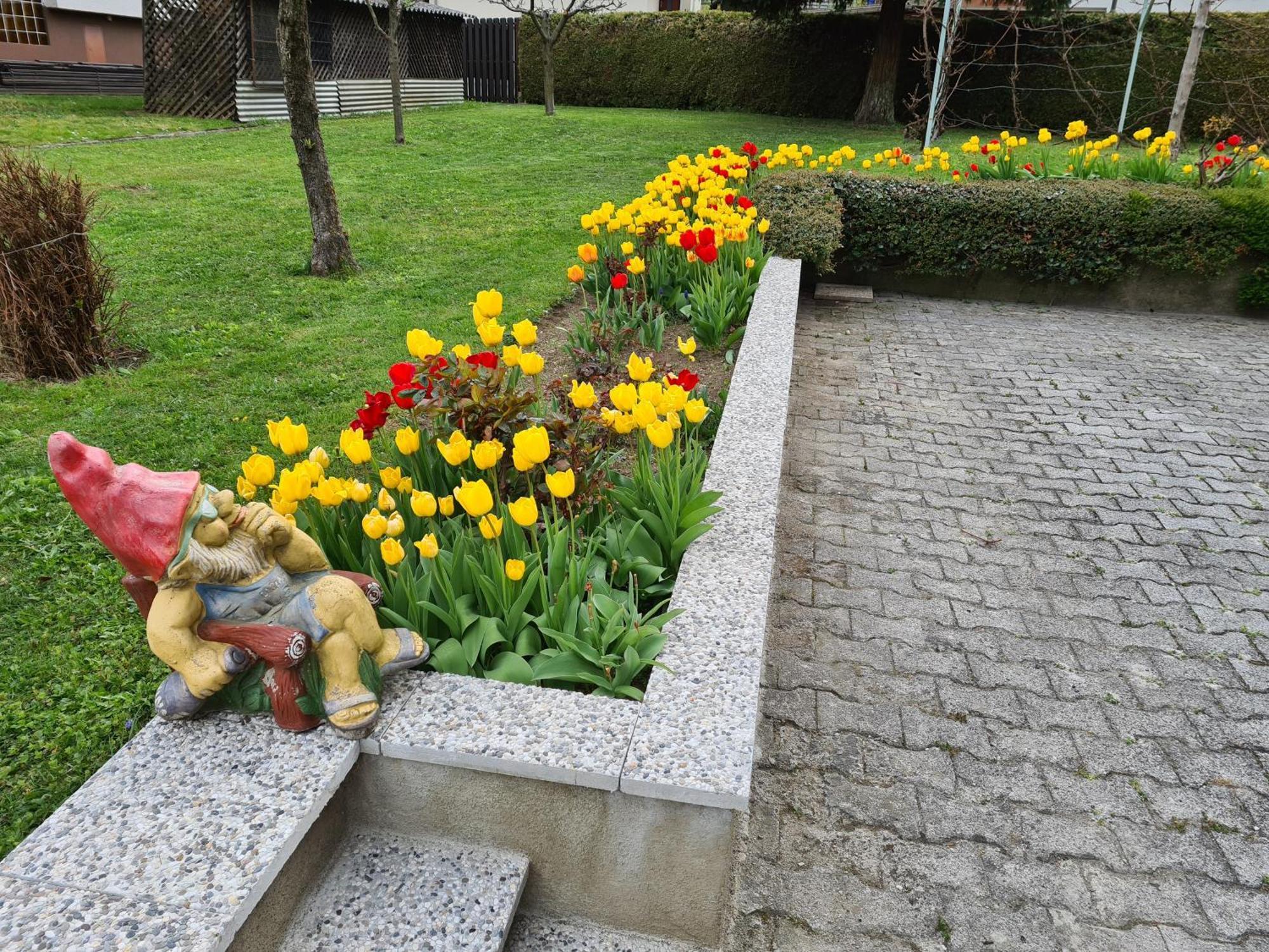 Apartment Petek Bled Exterior foto